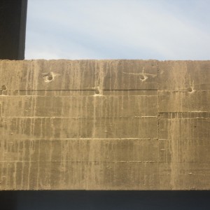 yapı güçlendirme filiz ekimi