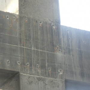 yapı güçlendirme filiz ekimi